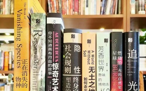 方寸之间，别有洞天